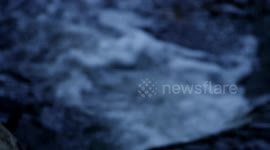 Pleasing running water footage ASMR