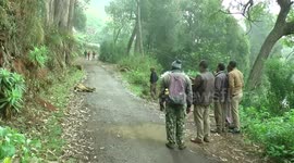 Forest officials rescue ailing leopard near botanical garden in southern India