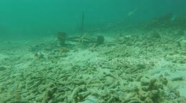 Anchor damages coral reef off southeast Asia