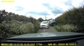 Woman spends three minutes trying to reverse along UK country lane