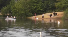 People Ignor Covid 19 Lockdown To Bring Boat Into parkland