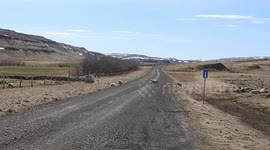 Iceland lambing season - a family of sheep in northern Iceland
