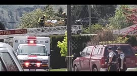Rescue operation as Canada air force aerobatics plane crashes into neighbourhood