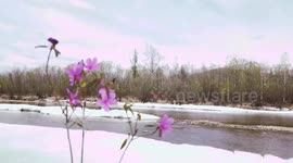 Huge ice blocks spotted on river in China's coldest town