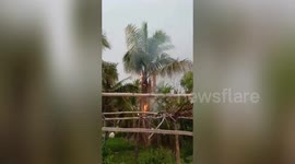 Cyclone Amban Lightning Strike Coconut Tree Causing Fire In Southern India.