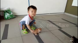 Toddler reacts to seeing kittens for the first time