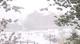 Footage shows rare snow covering Beijing in May