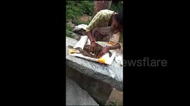 Brave woman in south India rescues injured python and treats its wounds