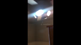 Quarantine Disco Fan