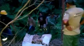 Sumatran tiger dead in Riau, Indonesia
