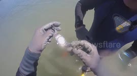 'It's still working!' Metal detecting divers discover luxury watch in Greek waters