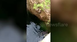 Officials rescue deer from deep agricultural well in southern India's Karnataka