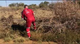 Huge African rock python rescued in South African grassland