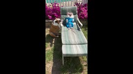 When your brother steals your chair.