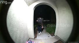 Package thief
