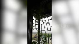 Pair of pigeons seek shelter in apartment balcony as cyclone Amphan hammers eastern India's Odisha