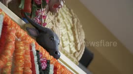 Bull and Vishnu Sculptures