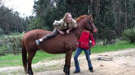This footage shows an unlucky horse rider being thrown from her ride