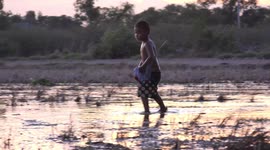 Now that quarantine is over this kid and his dog comes out to play in a paddy field in Thailand, at sunset.