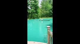 My dad built a fountain for our newly dyed pond