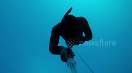 This is what it looks like to dive 40 metres into the ocean without any equipment