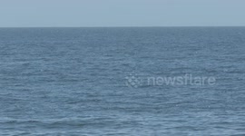 Open Ocean Water and Sky