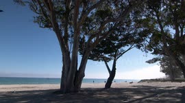 Shoreline of Monterey Bay