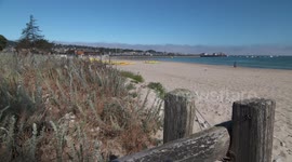 Wood Fence and Kayaks on Beach