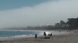 People on Beach Shoreline