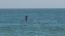 Person on Paddle Board