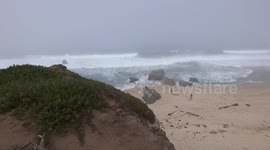 People on Sandy Cove During Misty Weather