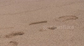 Footprints in Sand