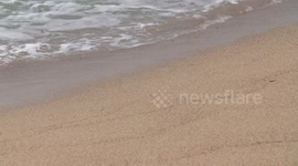 Person Making Footprints in Sand