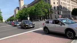 Funeral-like protest condemns Trump's response to COVID-19 in Washington, D.C.