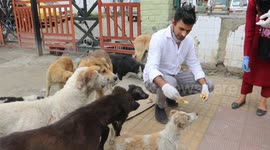 Students in India come together to collect food and feed packs of stray dogs