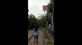 Devastating aftermath of super cyclone Amphan as trees lay uprooted on roads in eastern India