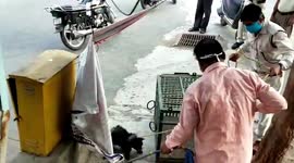 Civet strays into residential area, rescued by forest department officials in central India