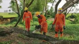 Indian officials clear roads devastated by cyclone Amphan