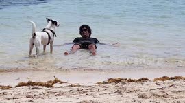 Dog doesn't want me to exercise on the beach