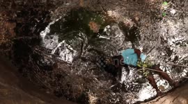 Volunteers rescue stranded baby goat from well in Western India