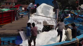 Unloading Ice | Fishing Boat | Malpe