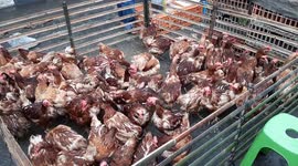 Ahead of Eid Al-Fitr in the midst of the corona virus and large-scale social restrictions (PSBB) were implemented, the Market in Palembang was heavily buyers.