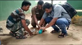 Forest officials rescue spotted deer after its was hit by motorists in Southern India.