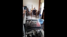 Filling the dishwasher has never been so easy.