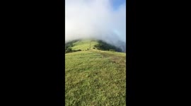 Need a hike?
