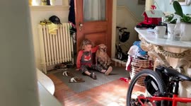 Canadian kid takes a quiet minute to remind his dog her loves her