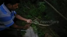 Snake rescues from fishing net In Southern East India.
