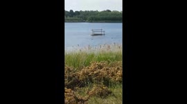 Gators spotted at a Yorkshire Nature Reserve