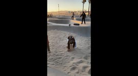 Skateboarders in the closed skate parks of Venice Beach