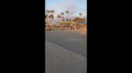 Skateboarders trying to use locked Skateparks in Venice Beach